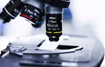 Erdfloh flieht bei Biolit