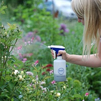 sprehflasche